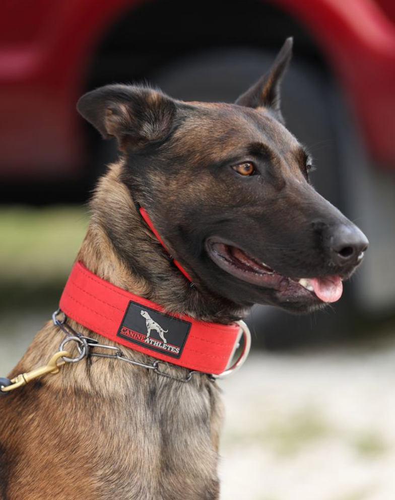 Collars