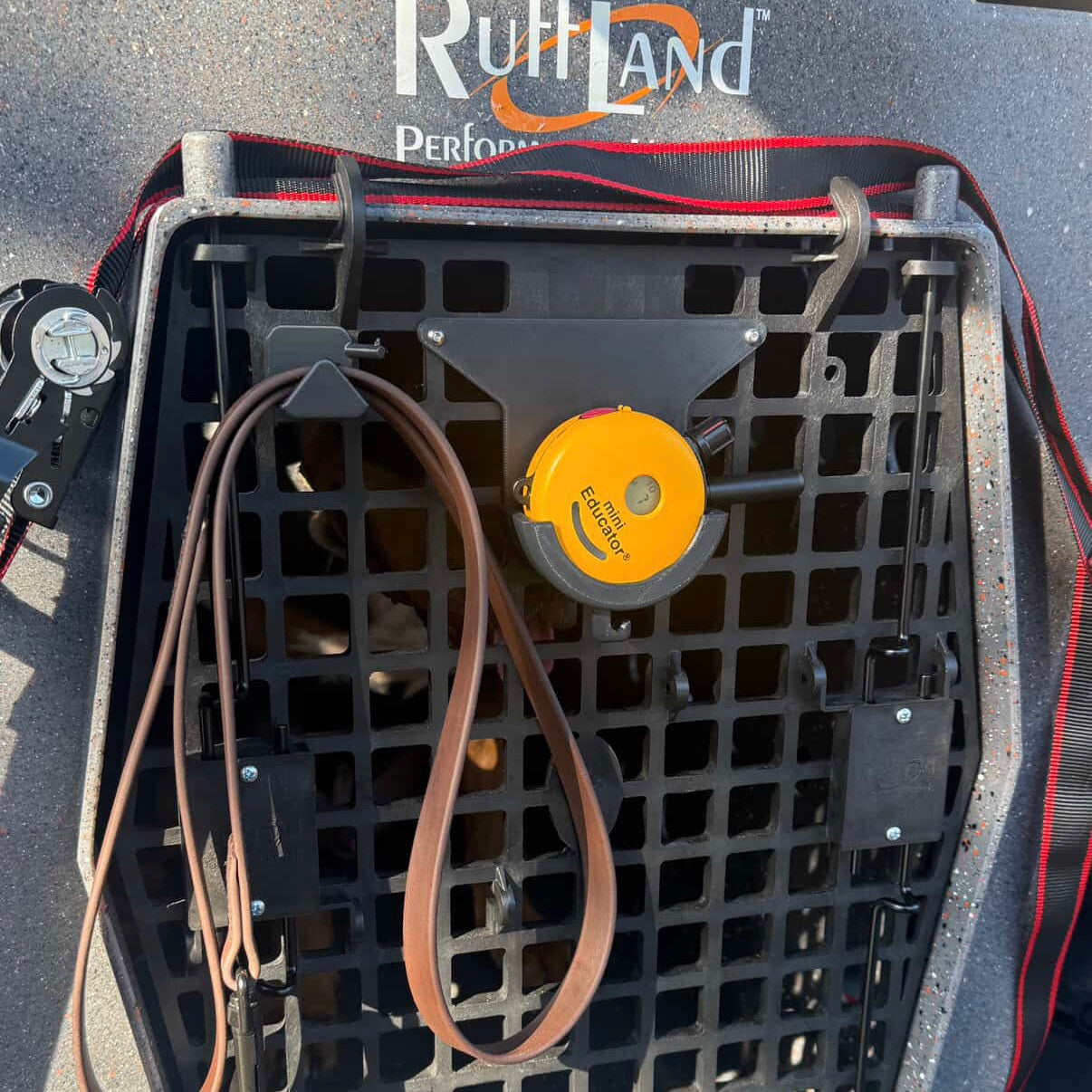 Ruffland Door Mount Leash Hook  - 1'' (with prong arm)