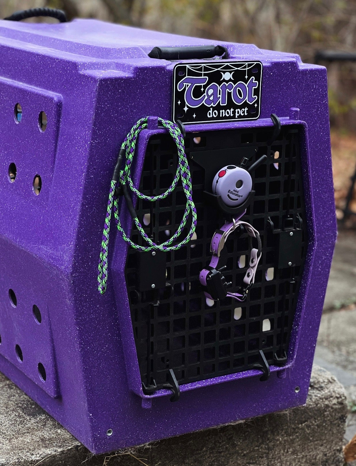 E-Collar Tech ET/FT/UL 300/400/800/1200 Ruffland Door Mount Holder