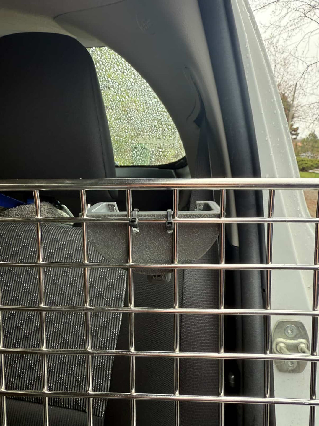 E-Collar Wall Mount Holders