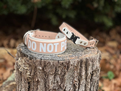 Beige DNP 15-19'' 2inch Collar
